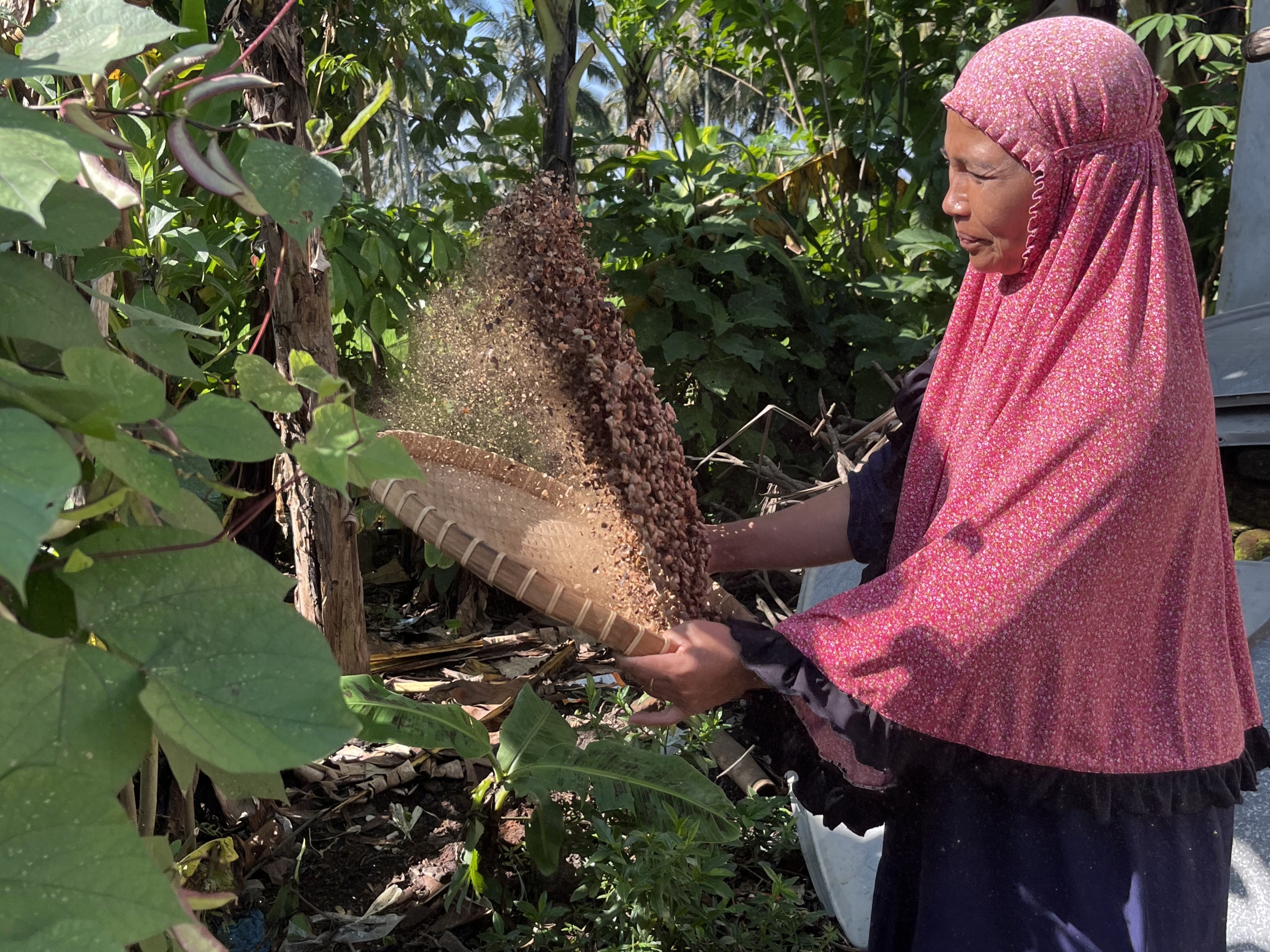 Proses Pemisahan Kopi